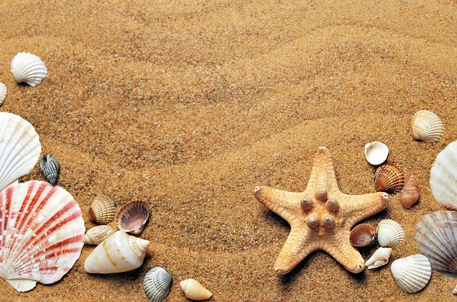 Sand mit Muscheln